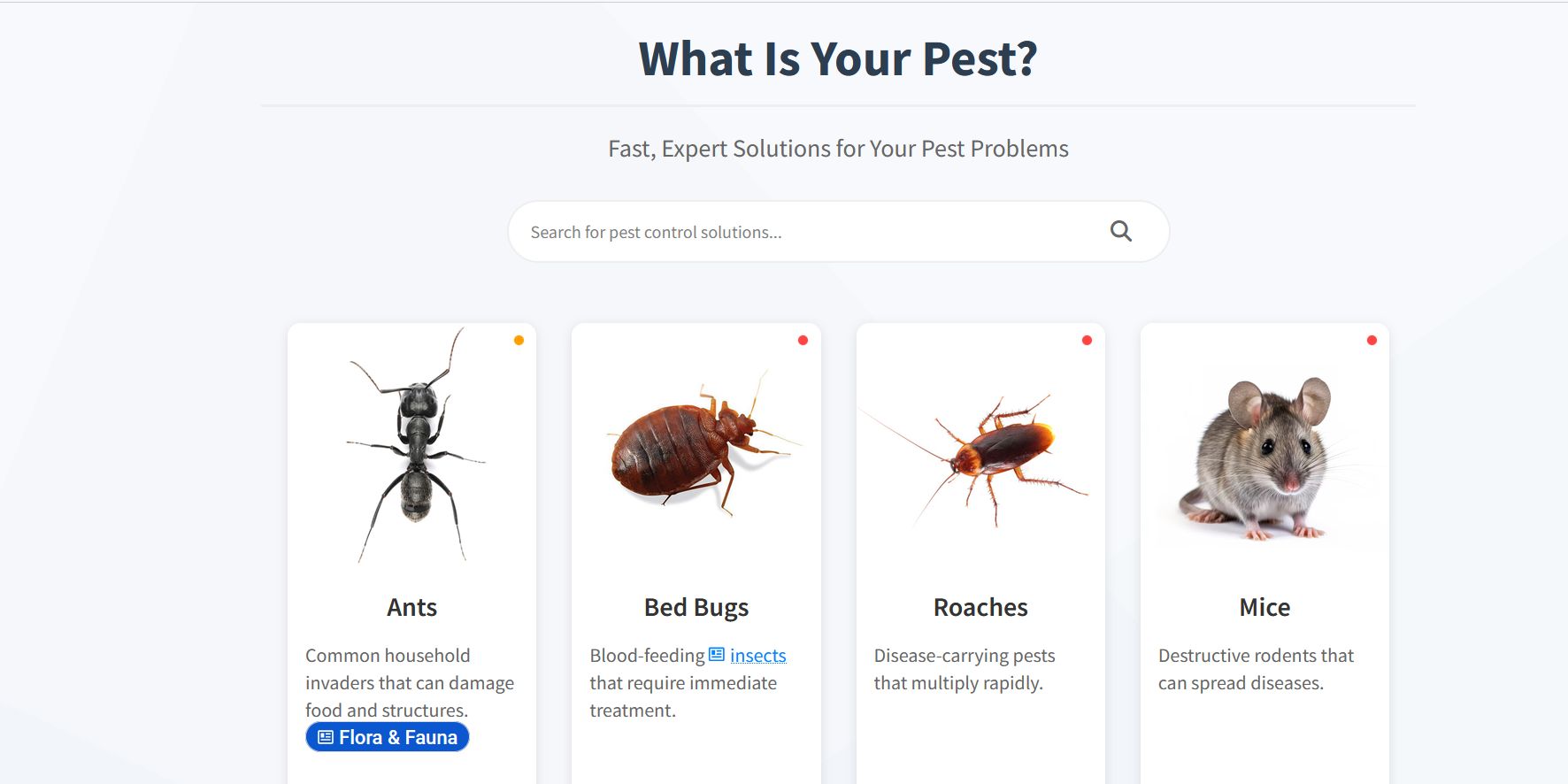 Homepage of the 13-year-old DIY pest control website reviewed in this Flippa listing breakdown.